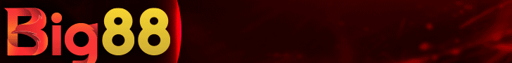 banner TF88